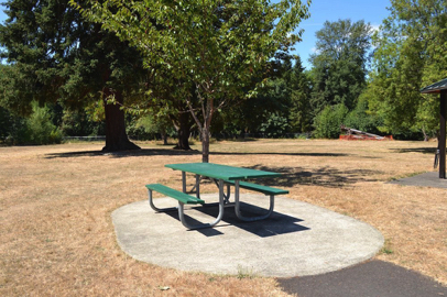 Accessible picnic bench near the playground